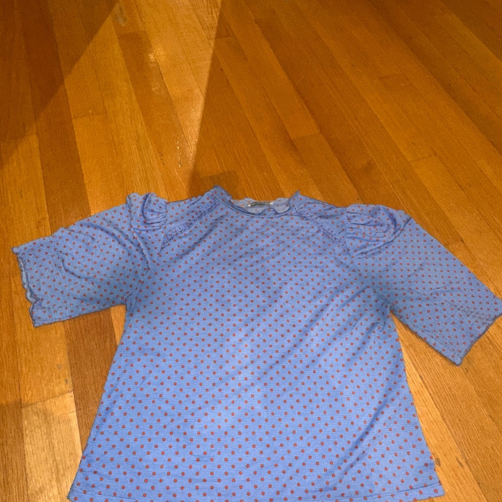 Zara Blue Polka Dot Women's Top